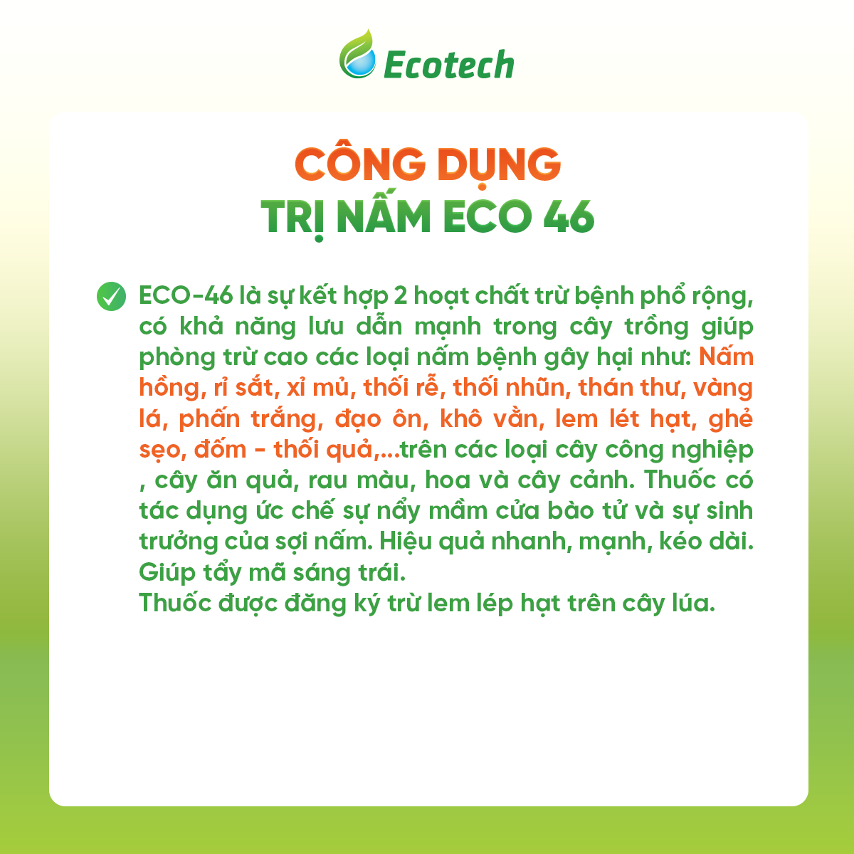 Trị nấm Eco 46 - Ảnh 2