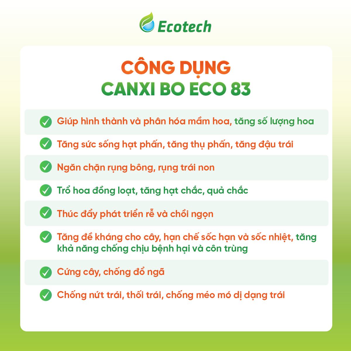 Siêu Dưỡng Trái CANXI BO ECO 83 - Ảnh 3