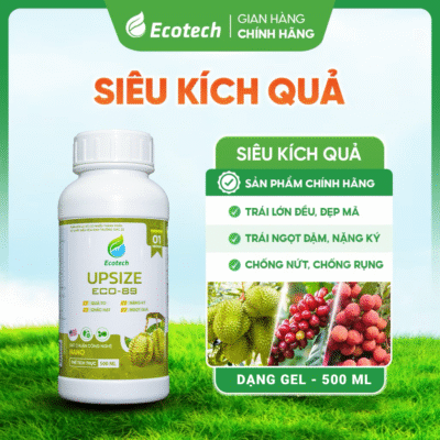 Siêu Kích Quả UPSIZE ECO 89