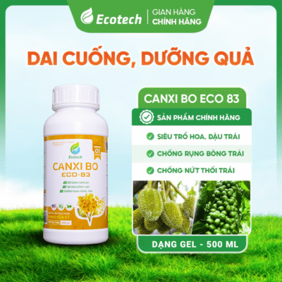Siêu Dưỡng Trái CANXI BO ECO 83