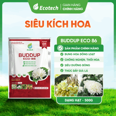 Siêu Kích Hoa BUDDUP ECO 86
