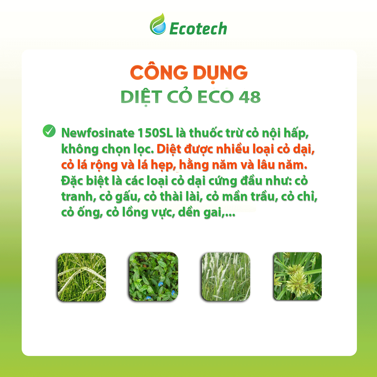 VUA DIỆT CỎ ECO - 48 - Ảnh 2
