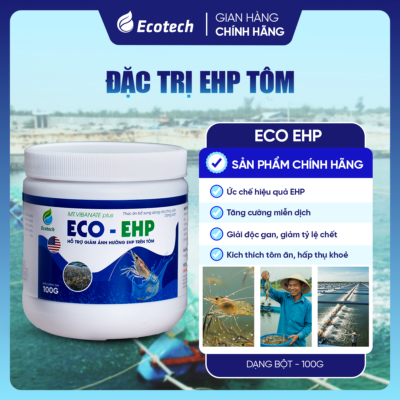 Hỗ trợ EHP trên tôm - ECO EHP