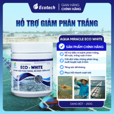 Hỗ trợ giảm phân trắng - AQUA MICRACLE ECO WHITE 250GR