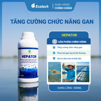 Tăng cường chức năng gan HEPATOR