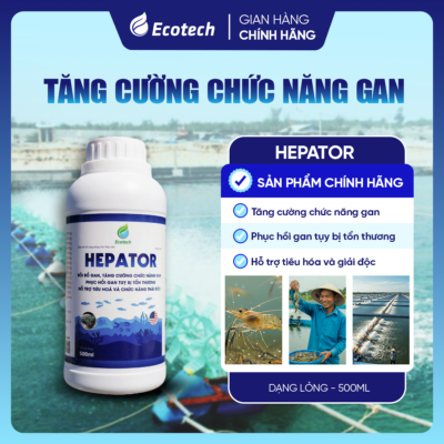 Tăng cường chức năng gan HEPATOR