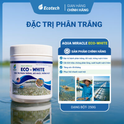 Đặc trị phân trắng - AQUA MICRACLE ECO WHITE 250GR