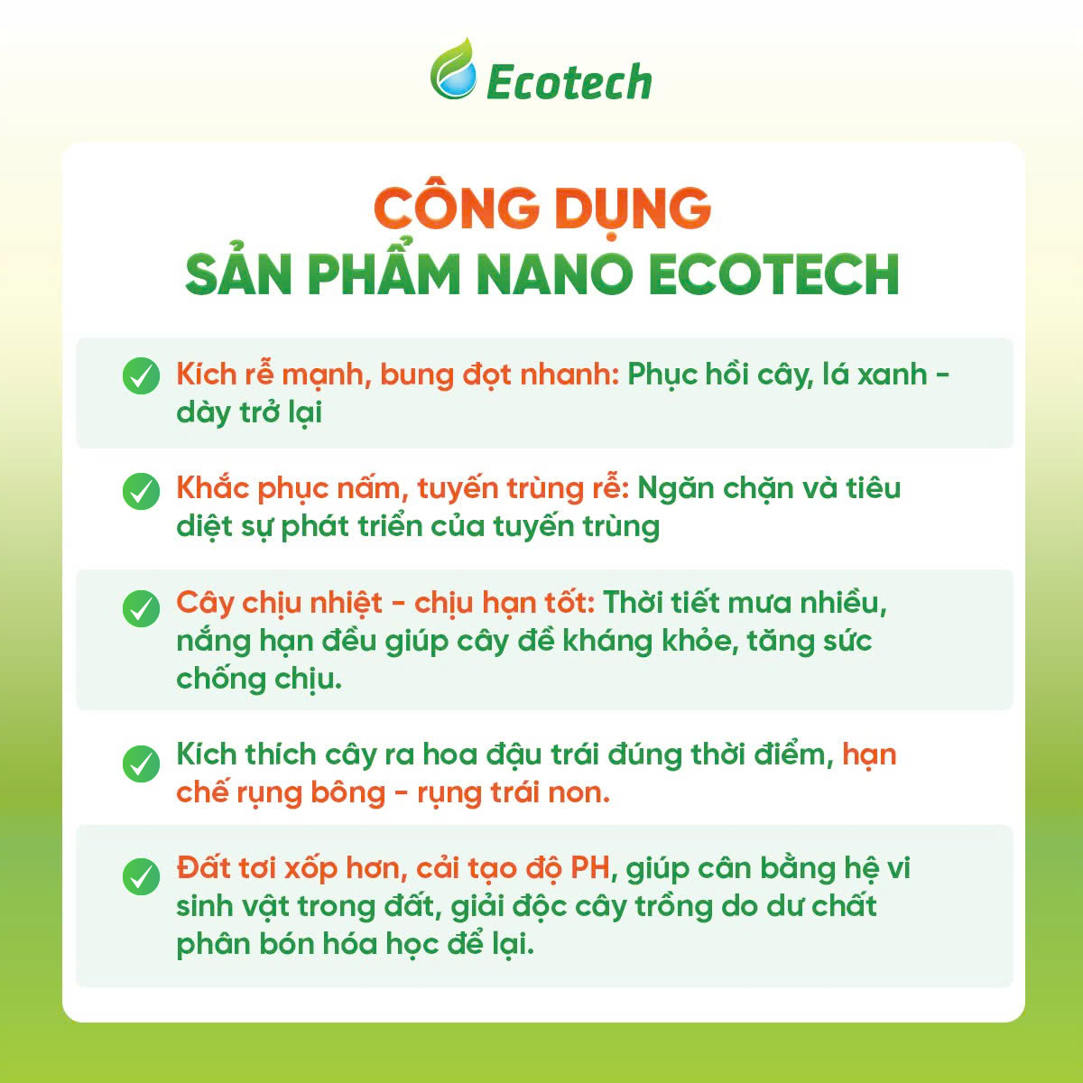 Siêu Kích Rễ, Đi Đọt NANO ECOTECH 1L - Ảnh 3