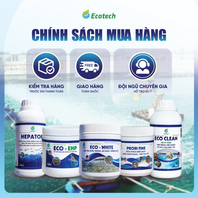 Thức ăn bổ sung dùng cho Thủy sản - CALVIT UP SIZE - Ảnh 6