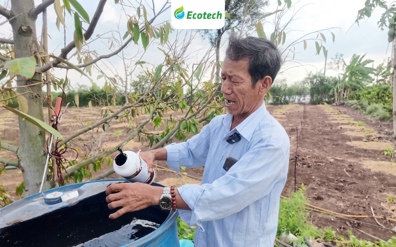 Quy trình tưới nano Ecotech cho vườn cà phê của chú Dũng