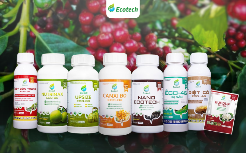 Dòng sản phẩm phân bón và chế phẩm sinh học Nano Ecotech do Công ty TNHH Nông nghiệp Easyfarm phân phối