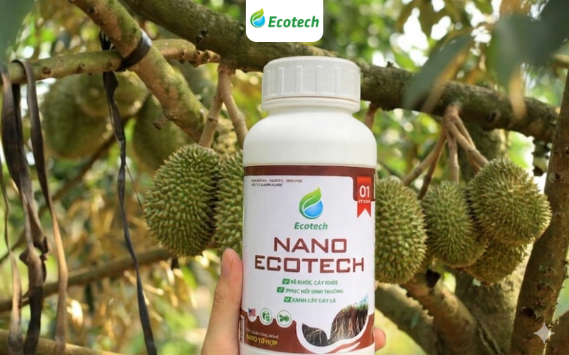 Anh Công là người đầu tiên sử dụng Nano Ecotech tại ấp Suối Đá