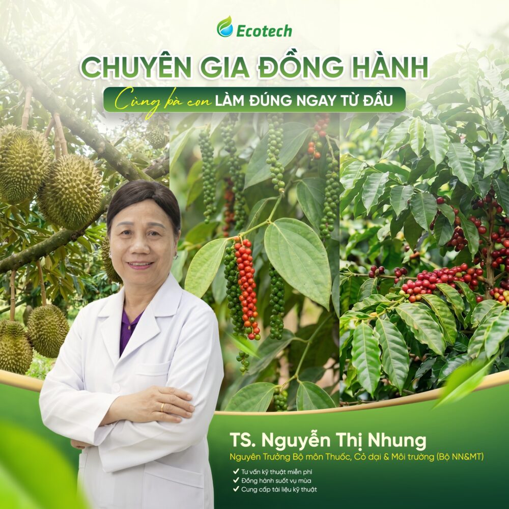 Tiến sĩ Nguyễn Thị Nhung - chuyên gia giàu kinh nghiệm tại Easyfarm 