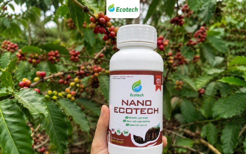 Phân bón Nano Ecotech được chuyên gia Easyfarm khuyên dùng