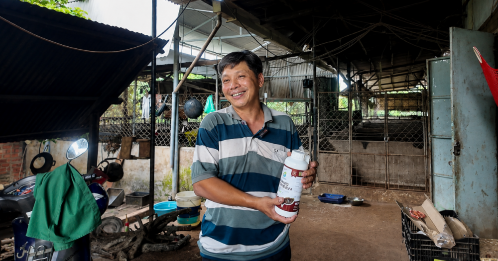 vườn bơ cháy lá hồi sinh