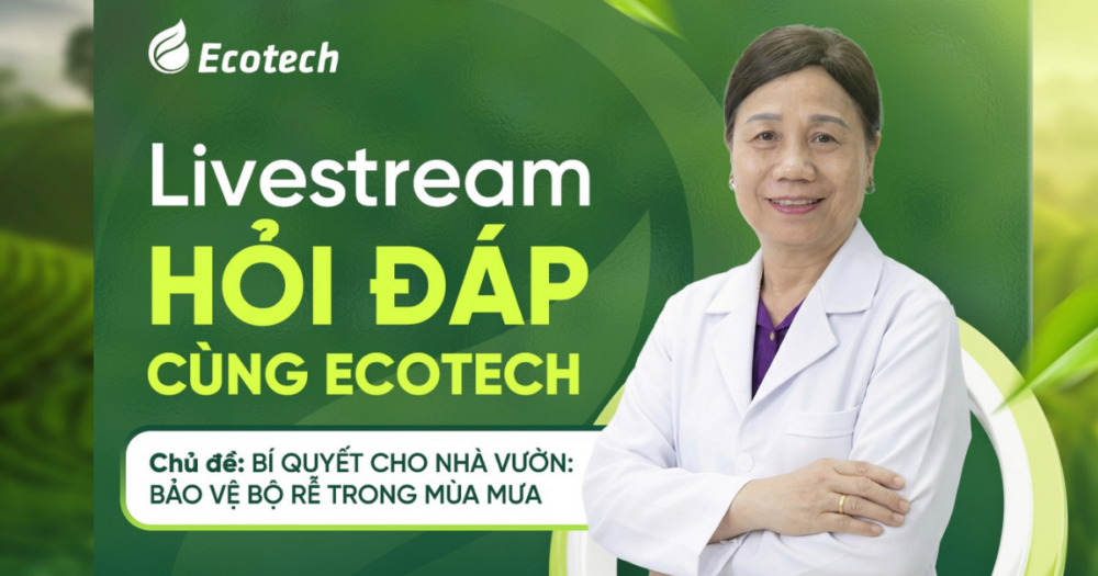 Đồng hành cùng chuyên gia